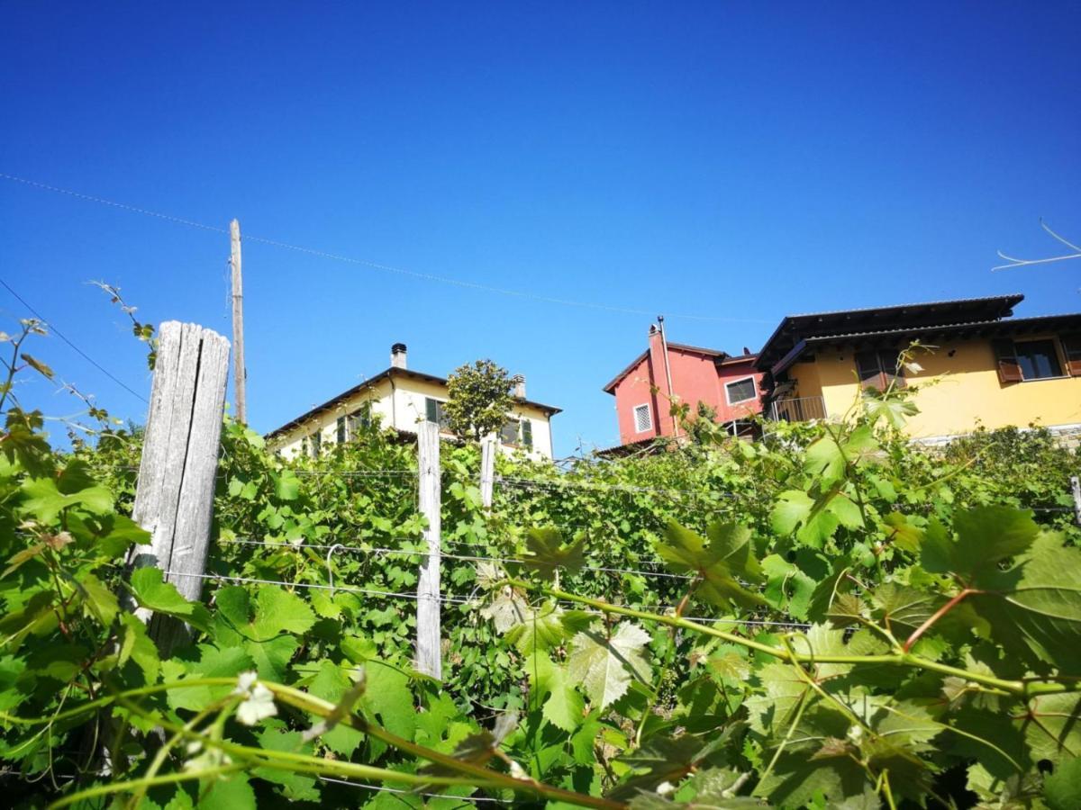 Tenuta Monteoliveto - Family Cottage - Agriturismo Nelle Langhe Vesime Exterior photo
